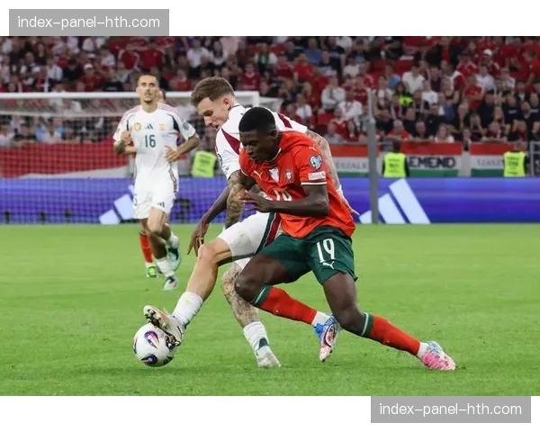 从重伤到回归：葡萄牙后卫坎塞洛讲述三年康复心路